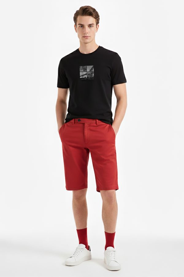 Men's Half Sleeves Blumbz Classics T-shirt